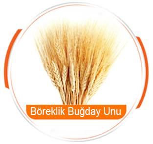 böreklik-bugday-unu