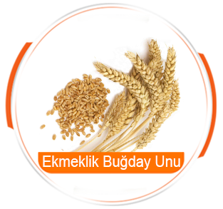 ekmeklik-bugday-unu